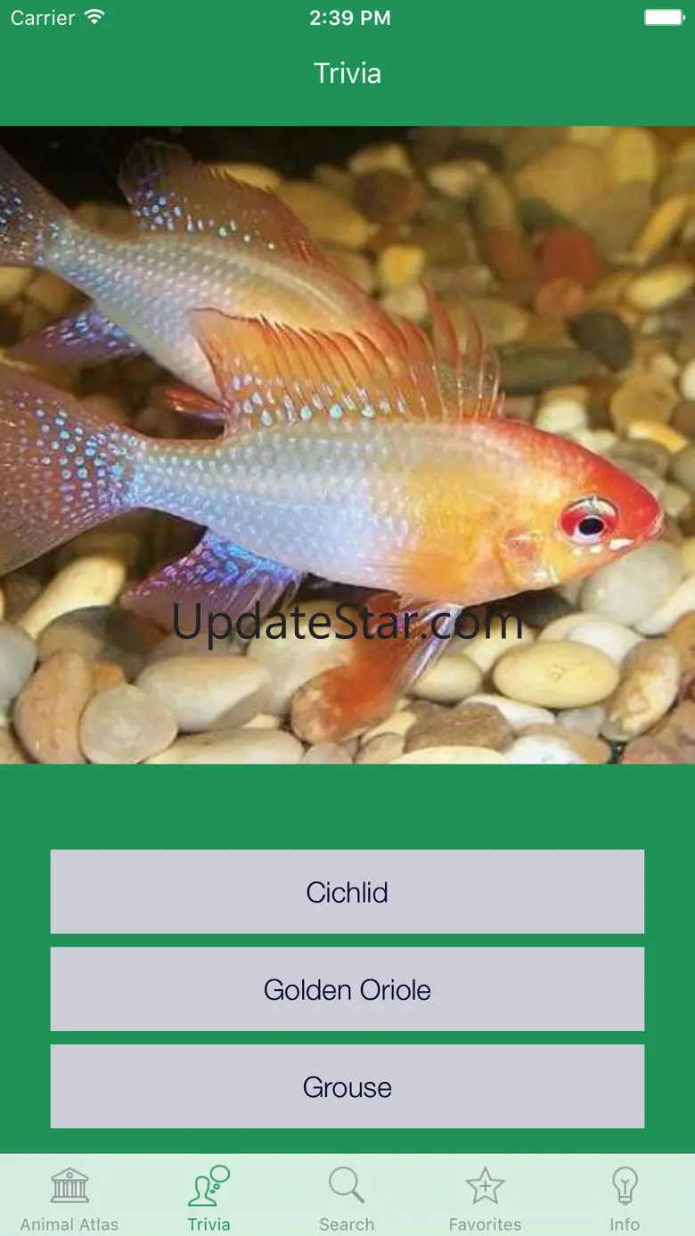 Animal Atlas 4.0.2