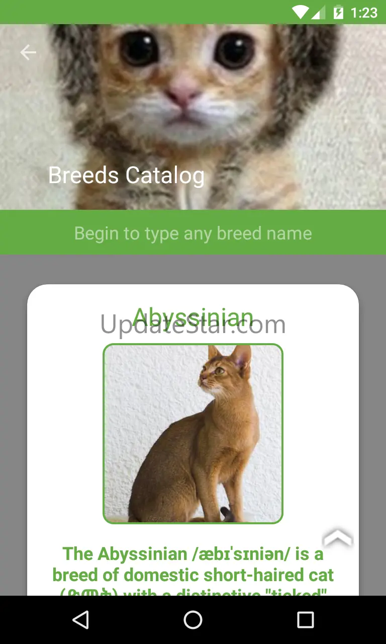 Cat Breed Auto Identify Photo 0.5.2