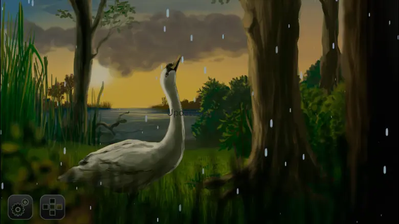 Where Do Swans Sleep? 2.020