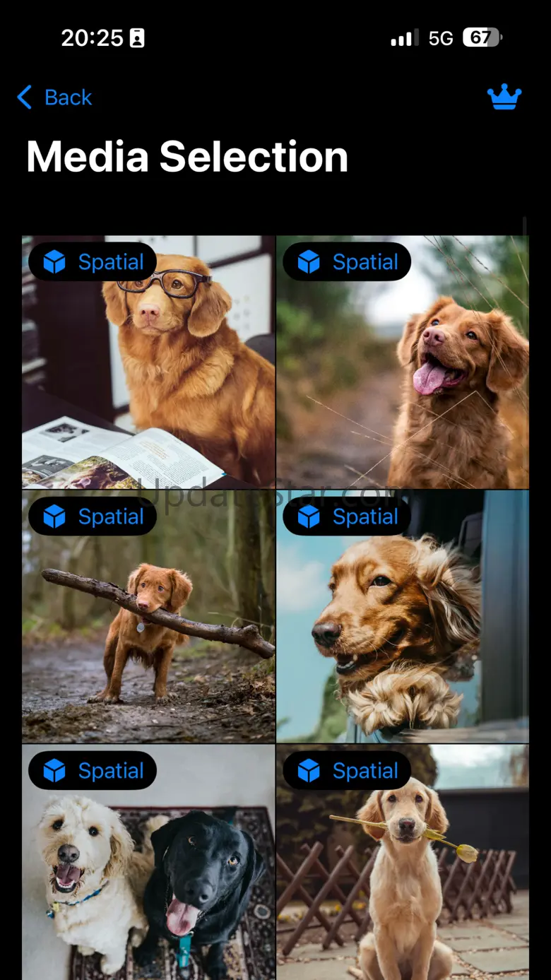 Spatial Video Studio 9.0.6