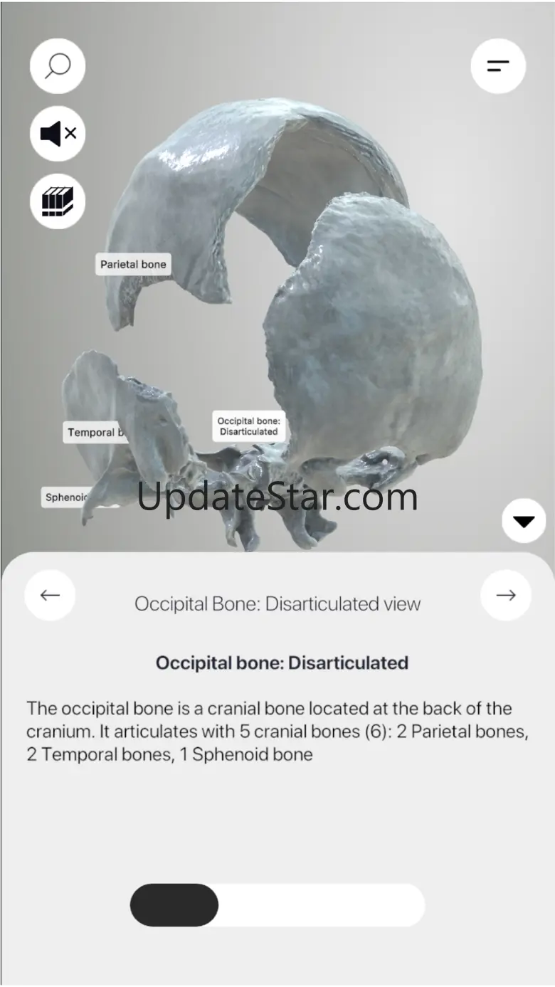 3D Osteology 2.0