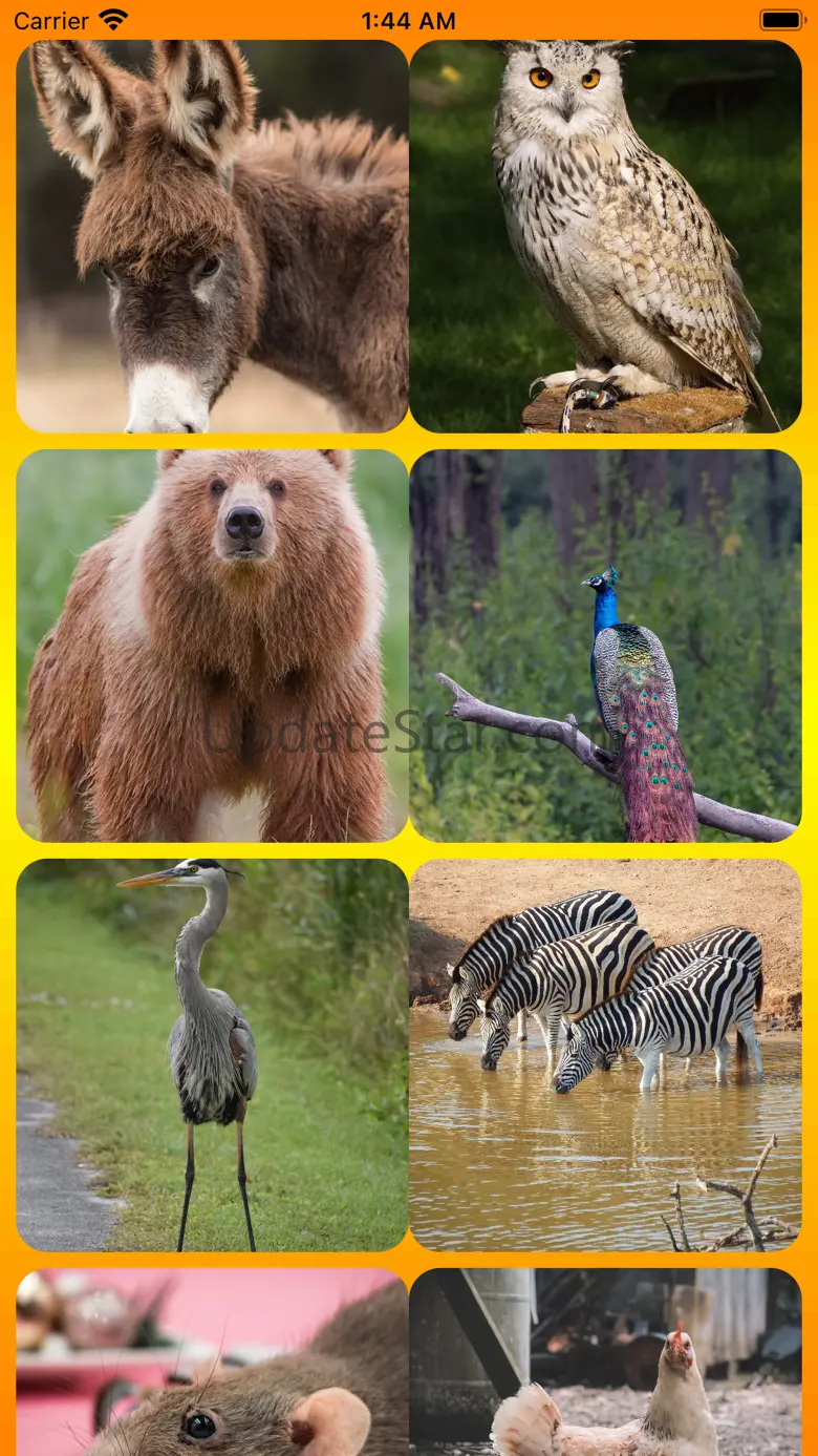 Birds And Animals Call 3.1