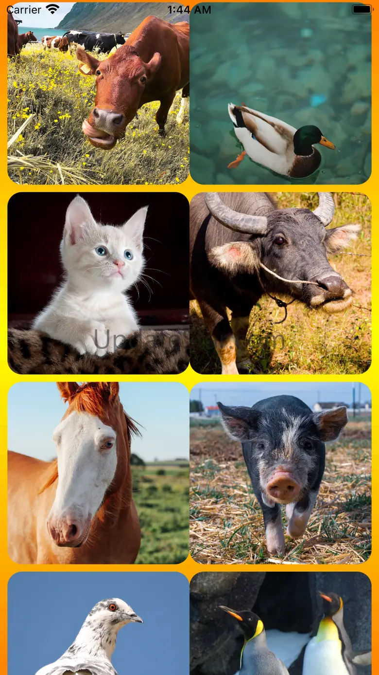Birds And Animals Call 3.1