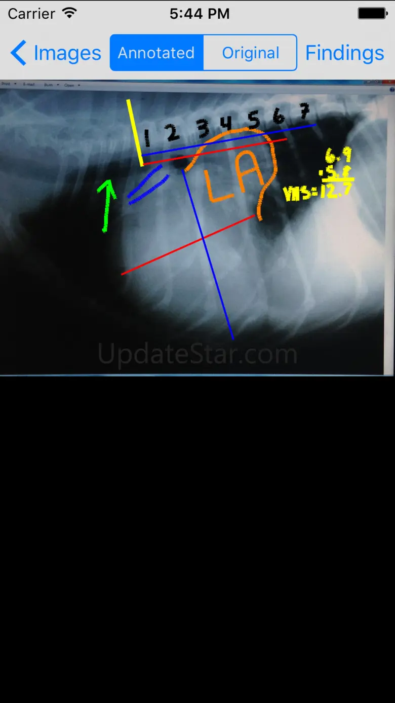 Vogal Vet GP 1.6.0