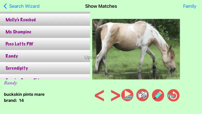 Chincoteague Pony Names 2023.0