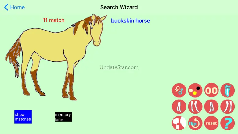 Chincoteague Pony Names 2023.0