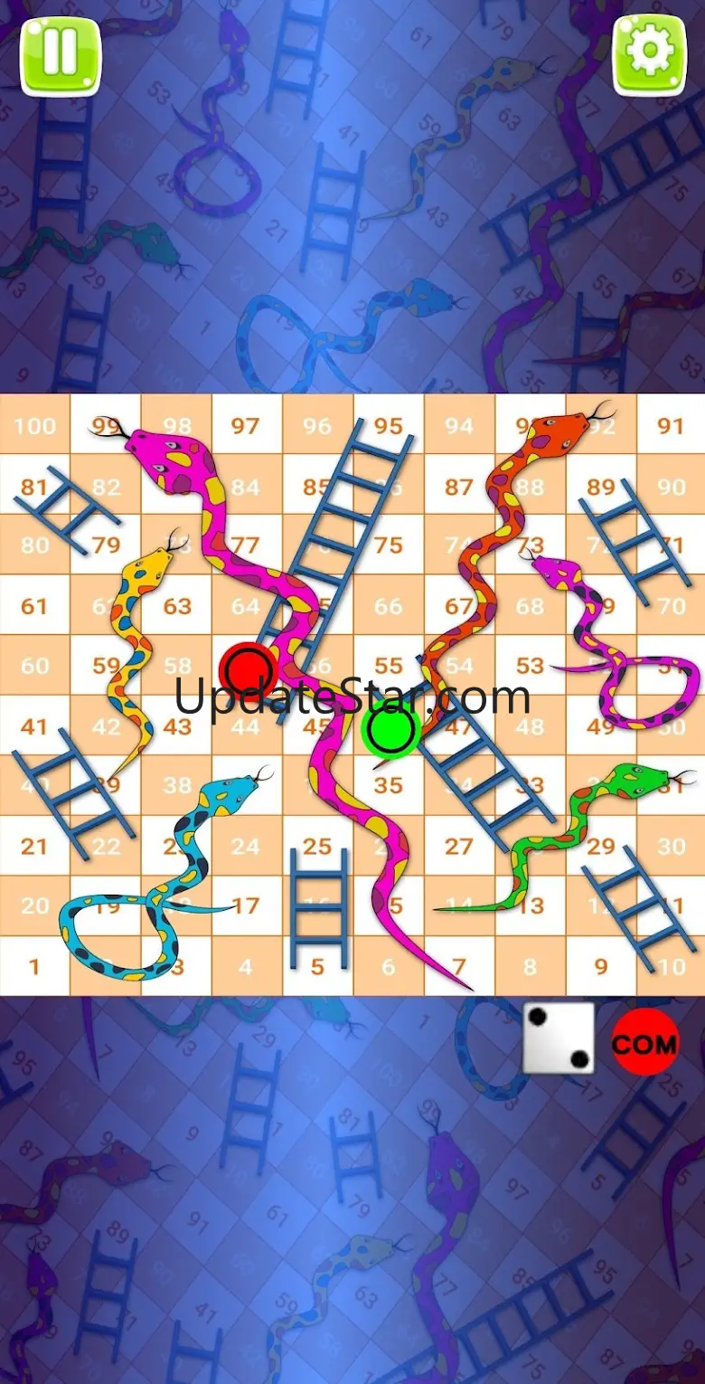 Snake and Ladder