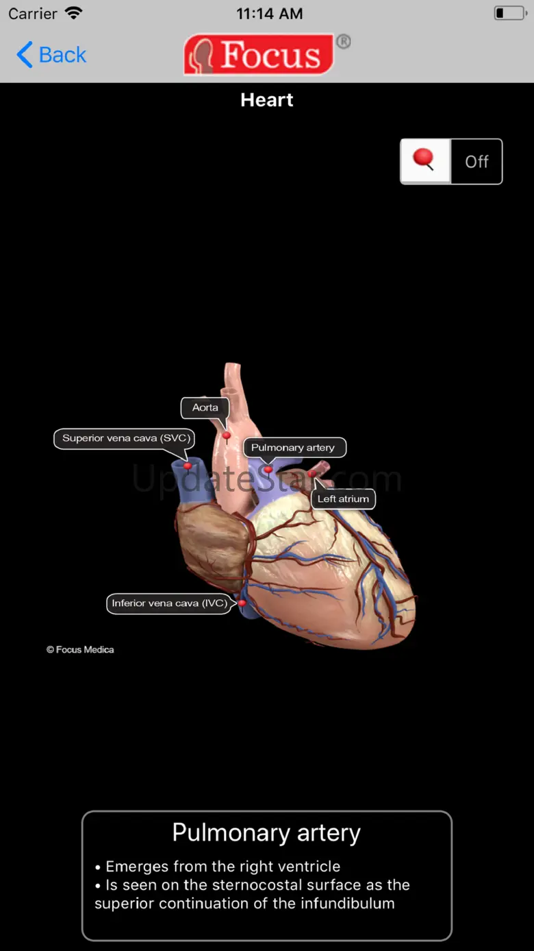 HEART -  Digital Anatomy 1.2