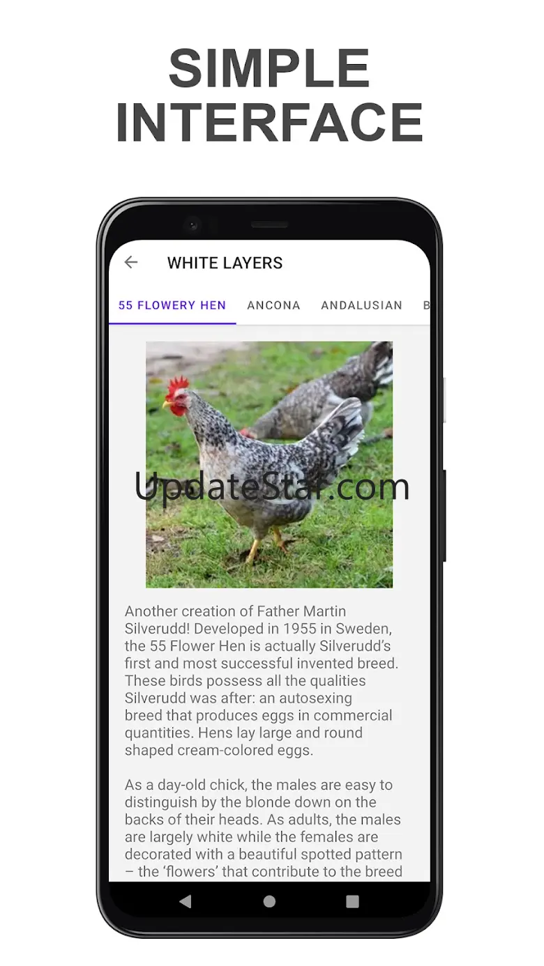 Chicken Breed 1.822
