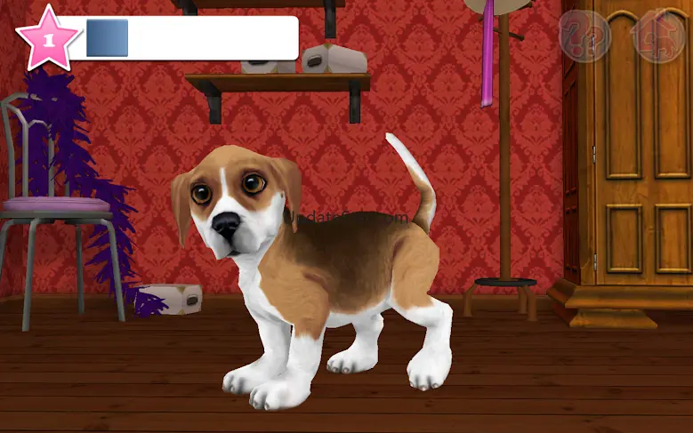 Dog World Premium - My Puppy 4.9