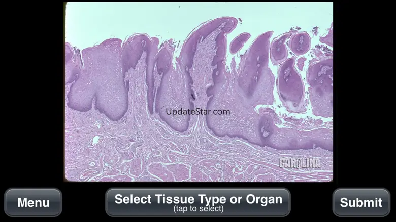 Animal Histology 3.1