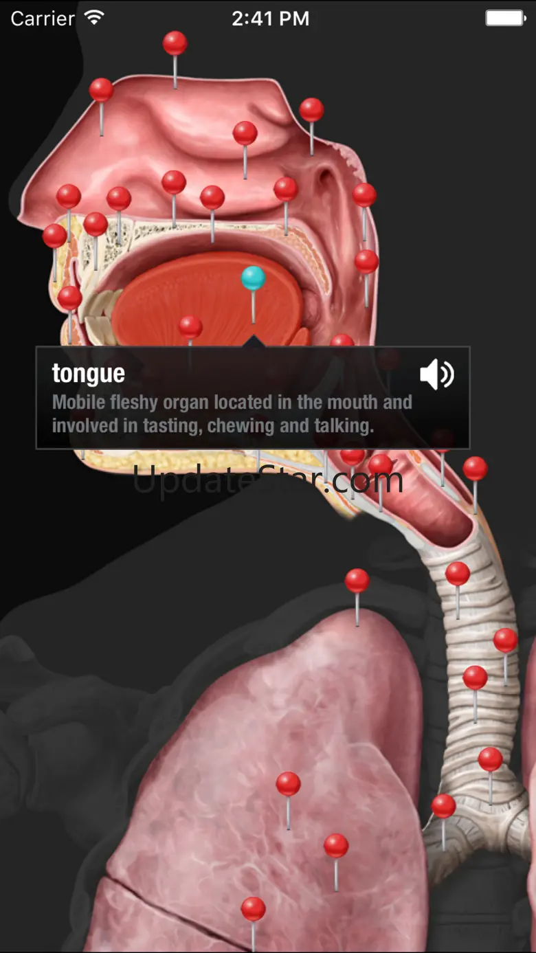 Virtual Human Body 2.2