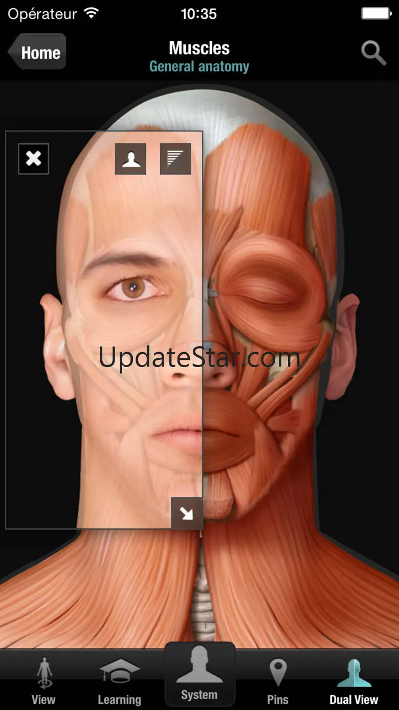 Virtual Human Body 2.2