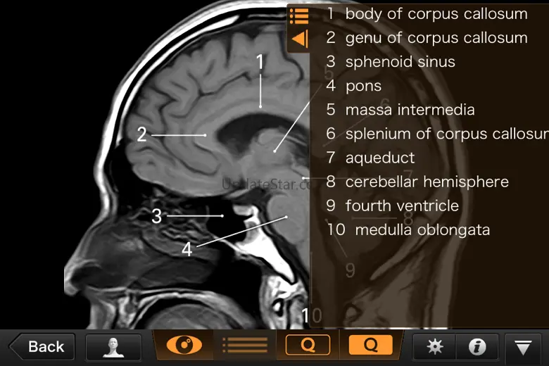 Interactive CT and MRI Anatomy 2.1
