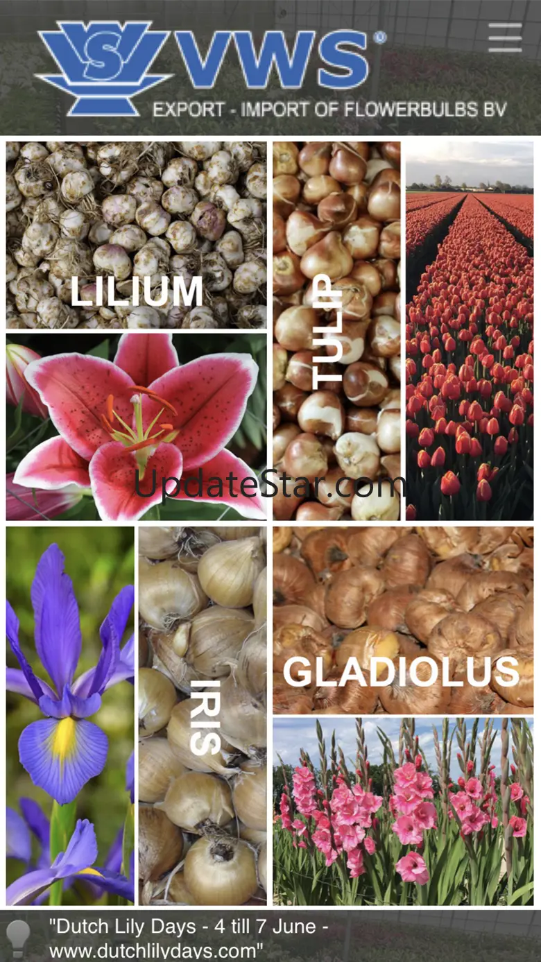 Flower Bulb Pics and Info 5.5.24