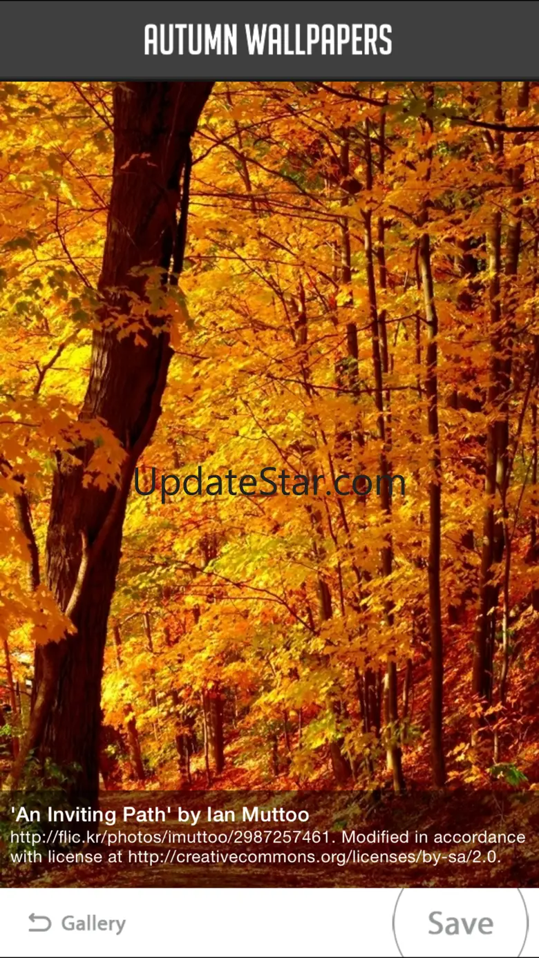 Autumn Wallpapers 1.1