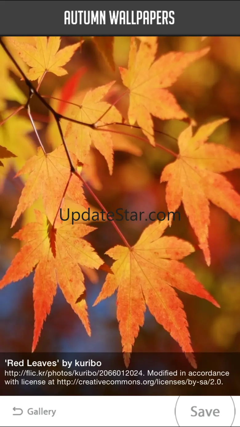 Autumn Wallpapers 1.1