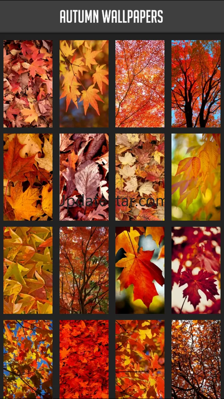 Autumn Wallpapers 1.1