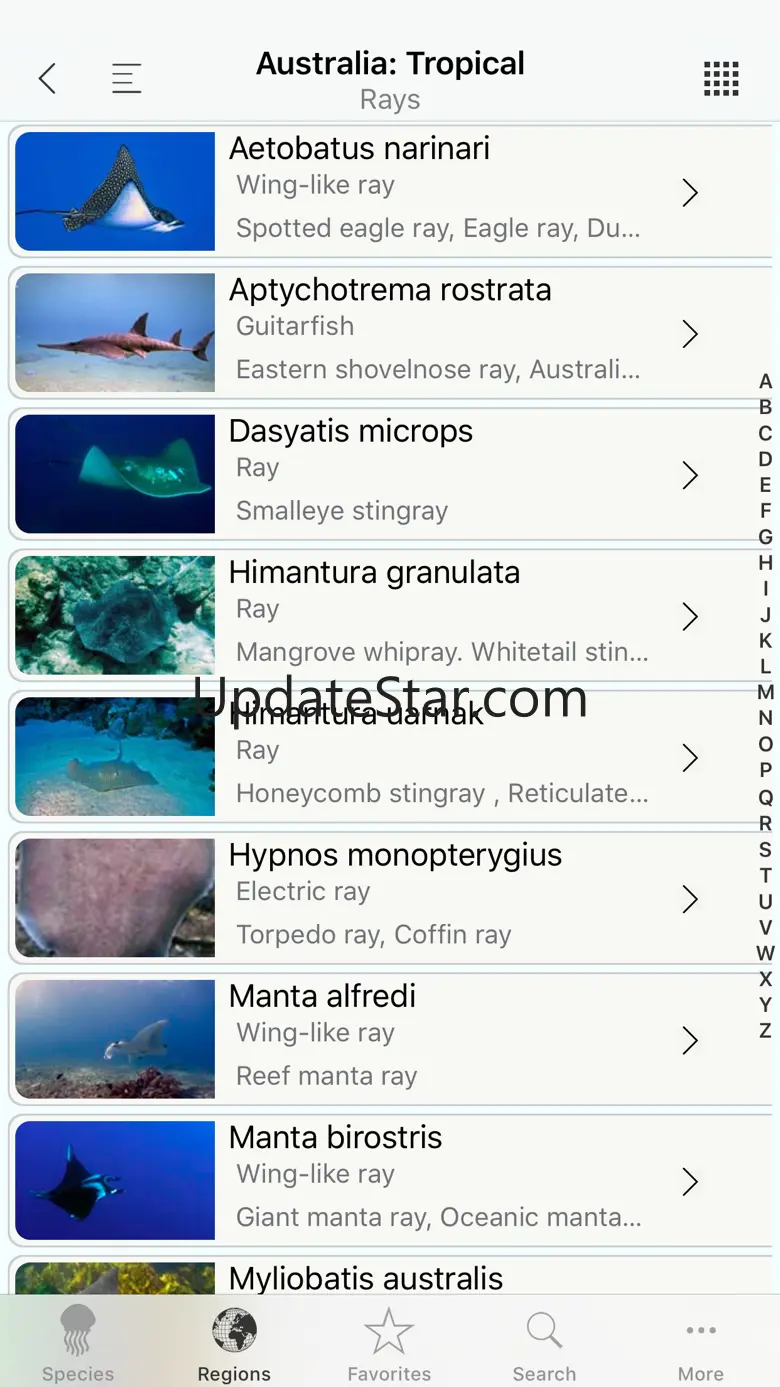 Sharks & Rays, by Reef Life 4.0