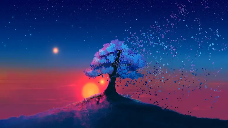 Sunset Wallpapers 1.0