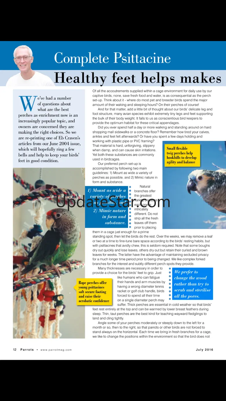 Parrots magazine 6.0