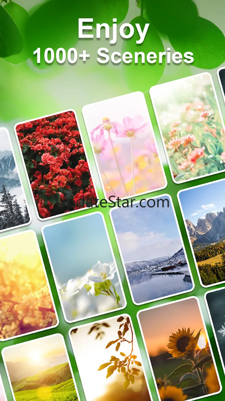 Zenscapes: Zen Match HomeDecor