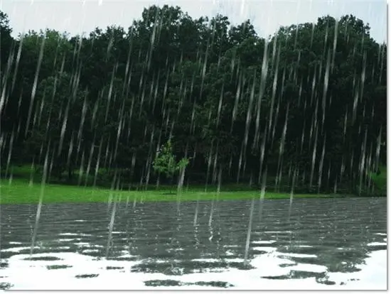 Rain Live Wallpaper 7.0