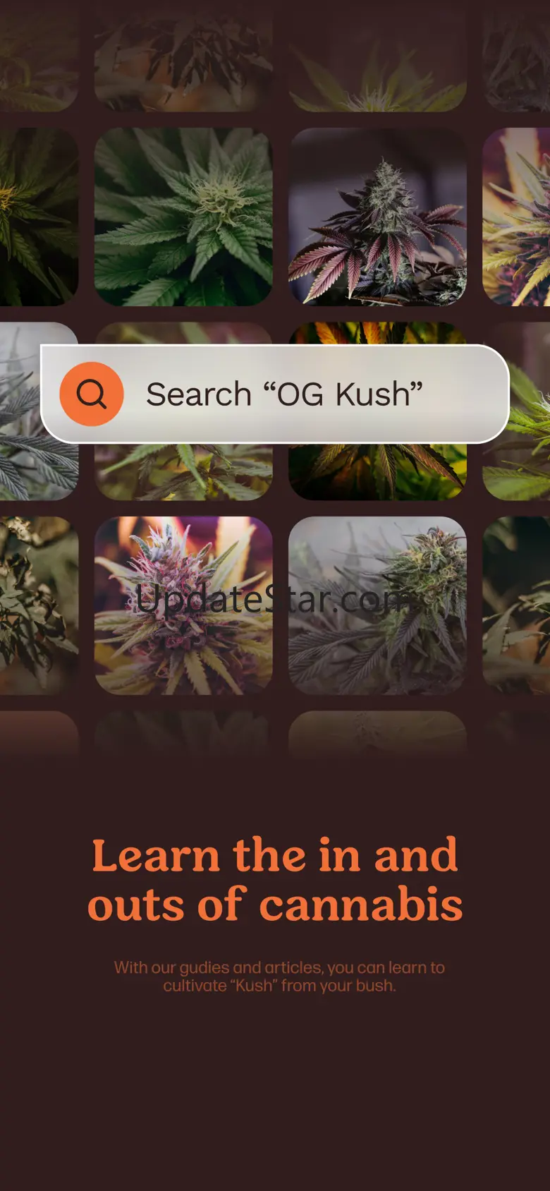 Hampa: Grow Cannabis 1.7.1