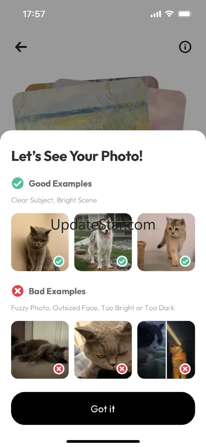 Pawtist 1.1.4