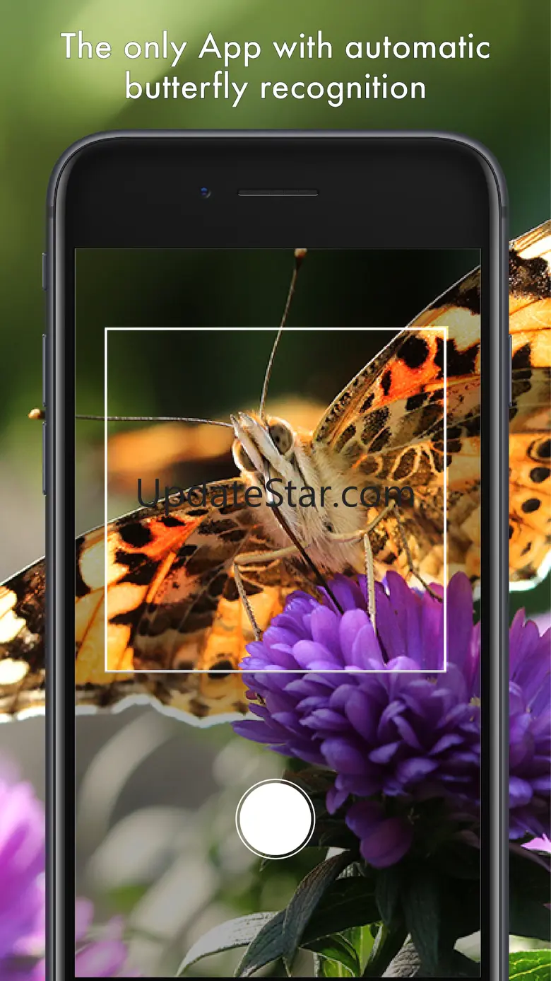 Butterfly Id - UK Field Guide 9.1