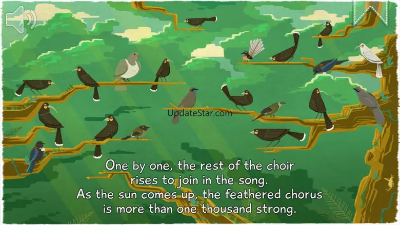 12 Huia Birds 1.4