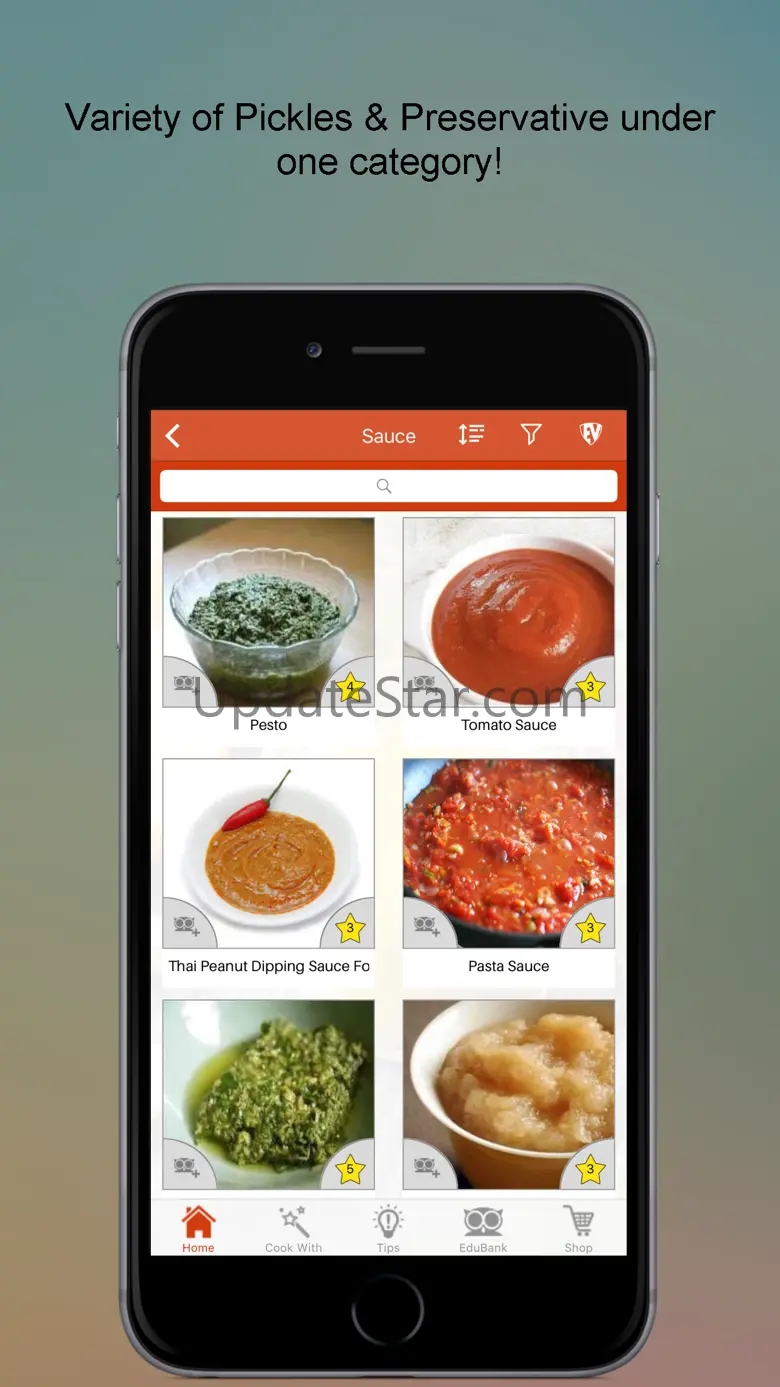 Pickles & Preservative Recipes 1.2