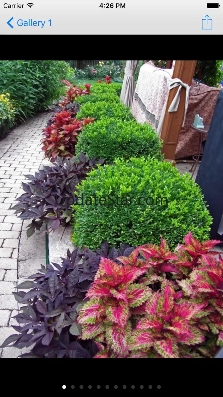 Landscaping Ideas 1.0