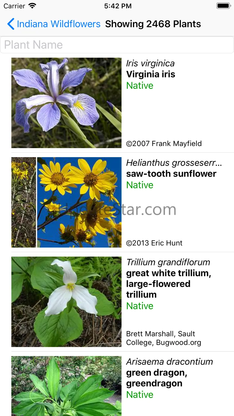 Indiana Wildflowers 9.1