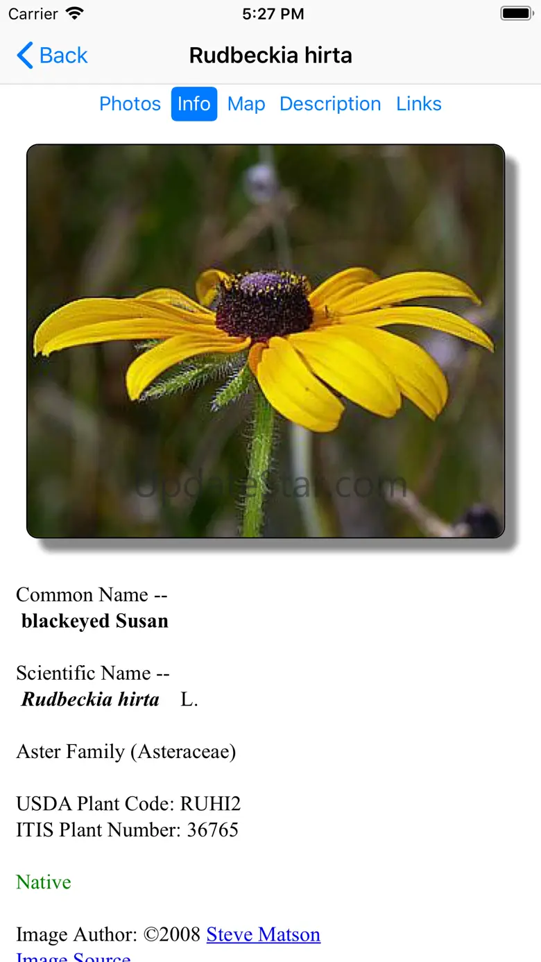 Nebraska Wildflowers 9.1