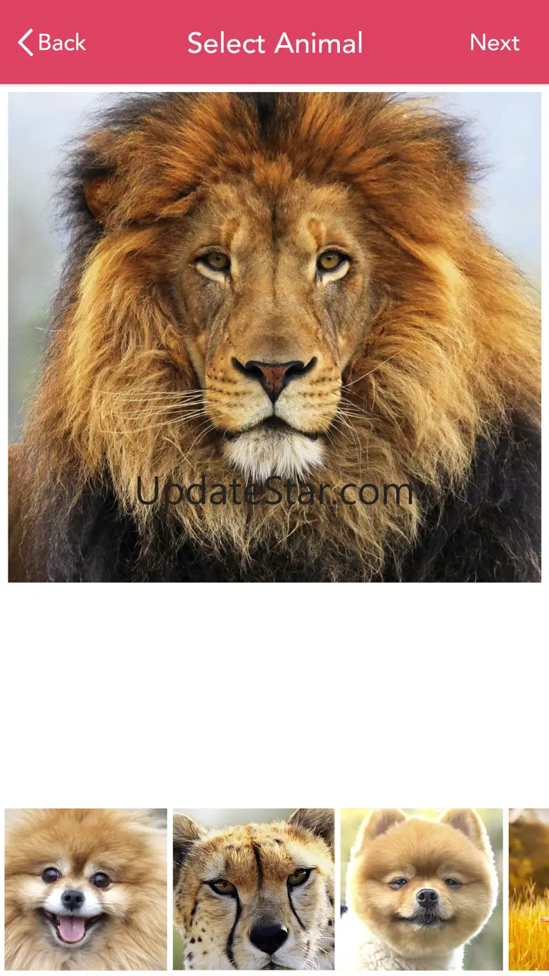 Insta Animal Gif Creator 1.0