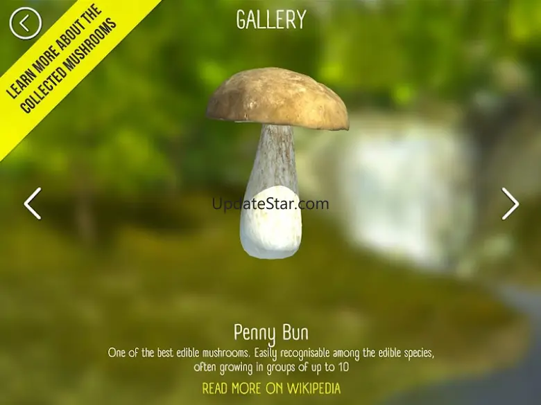 Real Mushroom Hunting Simulato 1.79