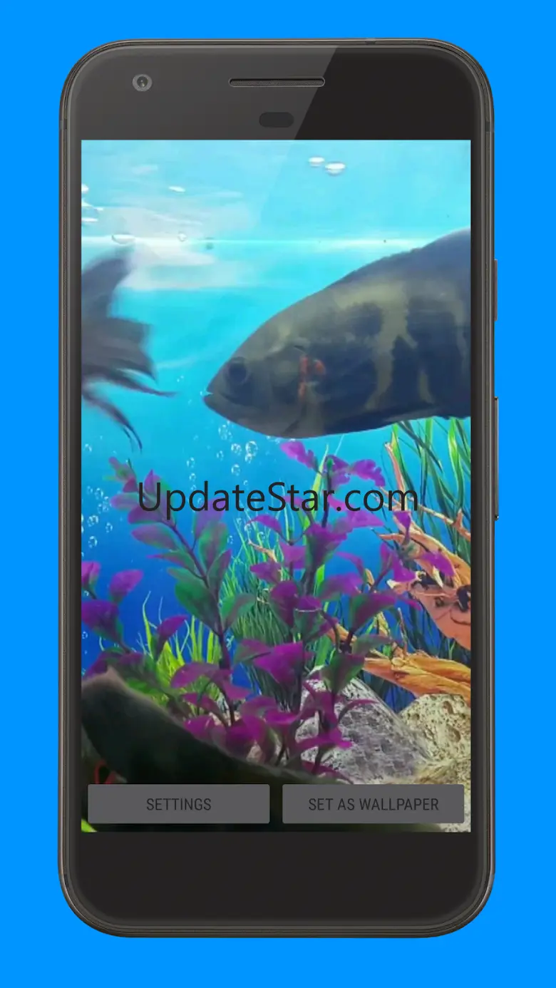 Oscar Fish Aquarium Video 3D 9.0