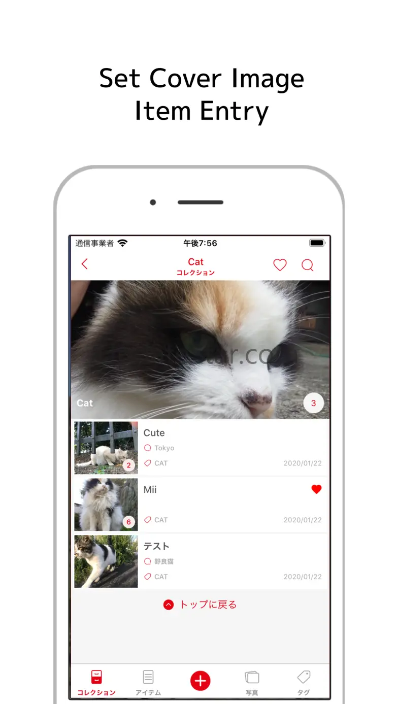MyCollections - Gallery 2.3.8