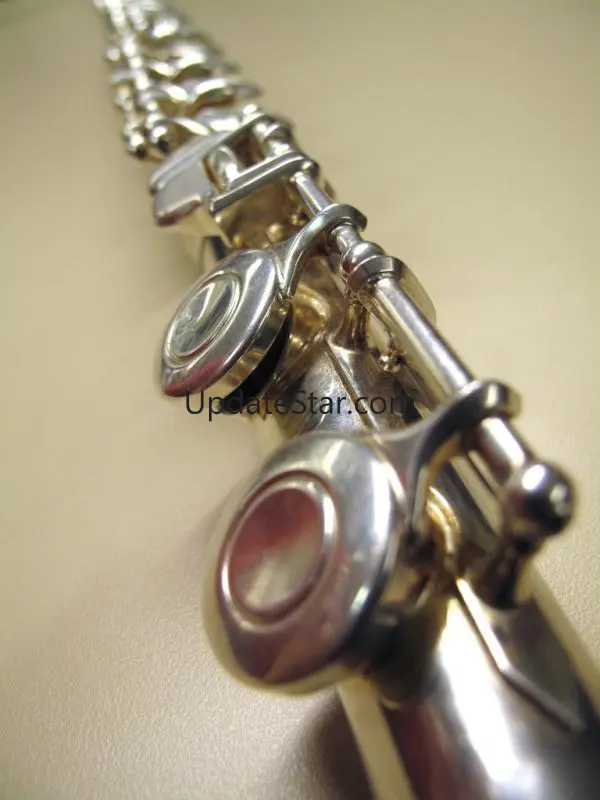 Flute Lessons 1.00
