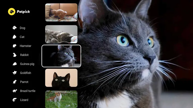 Petpick 1.6