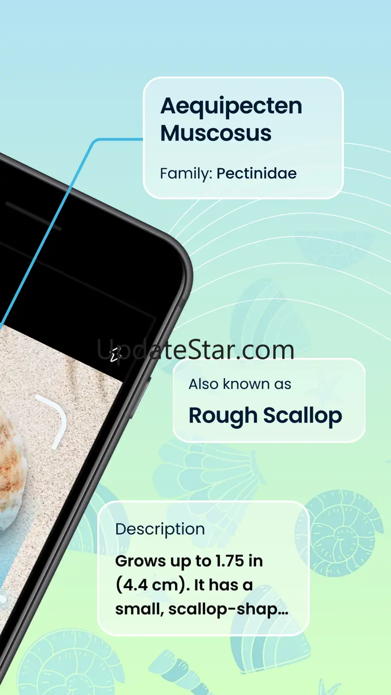 Sea Shell Identifier & Guide 1.0.6