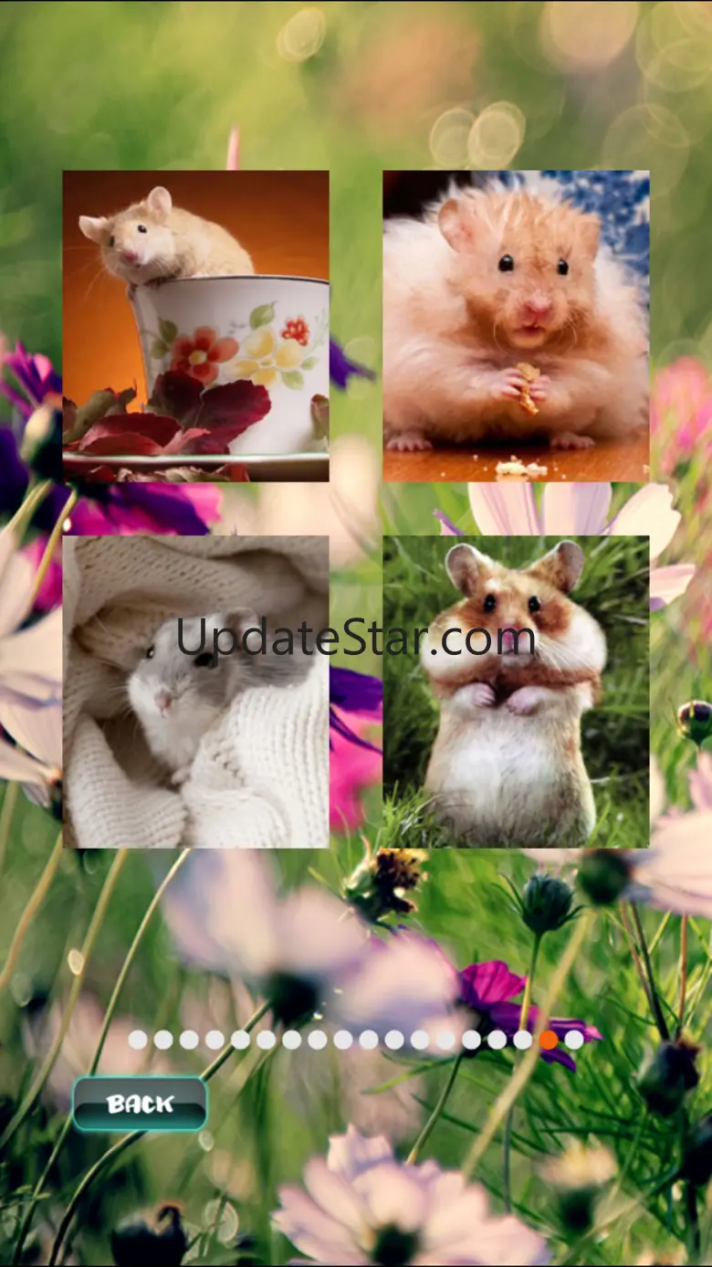 Hamster Puzzles 1.0.2
