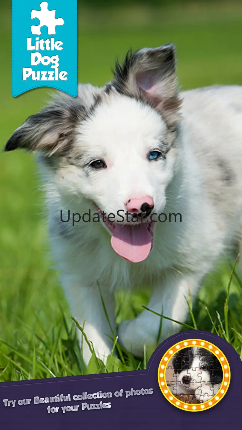 Very Cute Puppies To Pet - Free 1.0