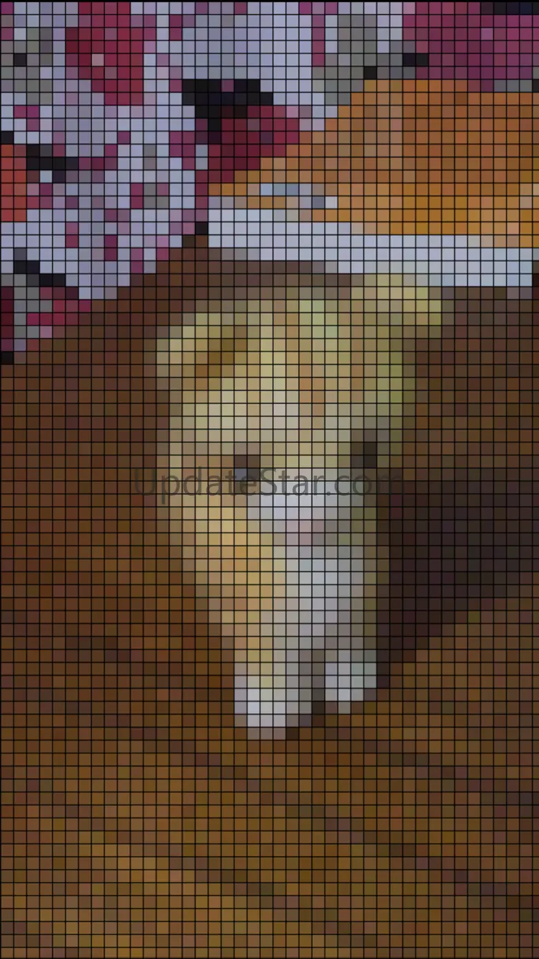 pixelizer 1.2.9