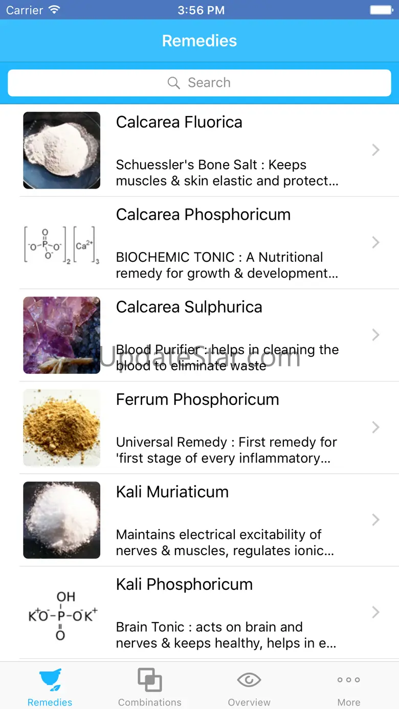 Biochemic Tissue Salts 1.3