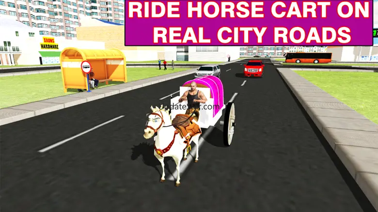 Wedding Horse Carriage & City Bridal Driving 1.0
