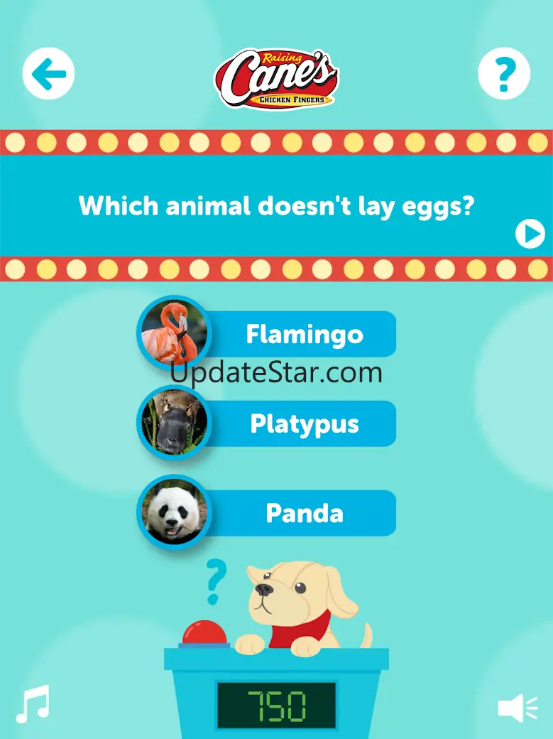 Raising Cane’s® Arcade 36