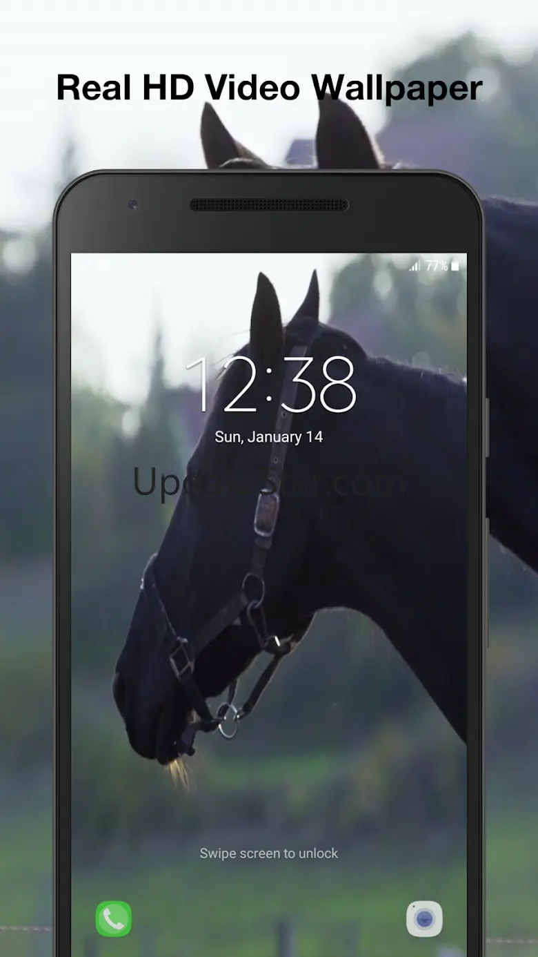 Horses Live Wallpaper 7.1