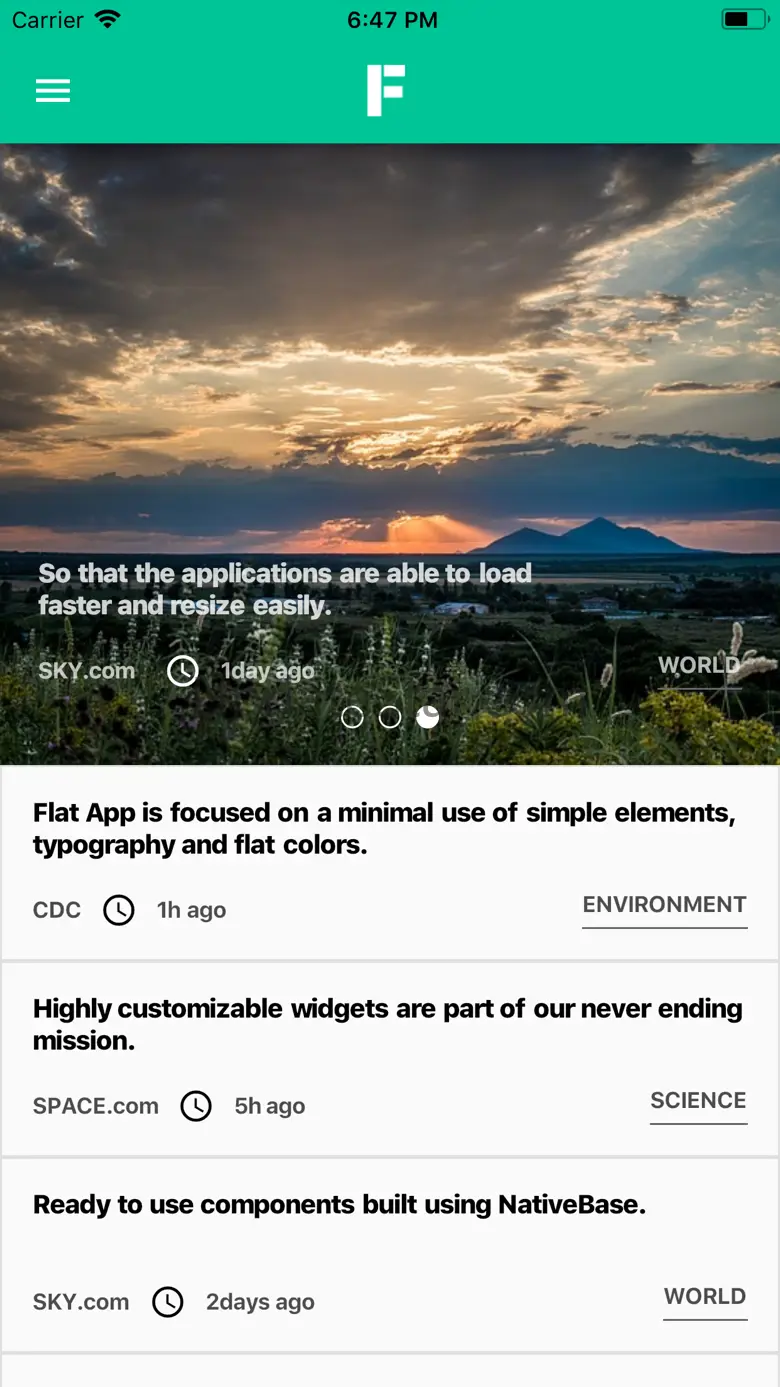 Flutter Flat App 1.1
